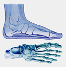 Safety Priorities services for the Podiatry profession